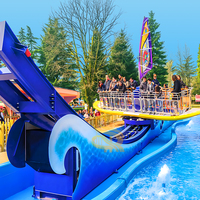 Fabricant professionnel de simulateurs de surf pour parcs aquatiques