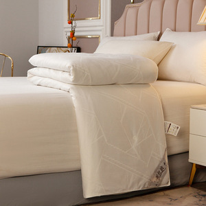 Promosi pabrik 100% kapas sate jacquard tebal musim dingin quilt core 100% selimut sutra murbei - Product Image 2