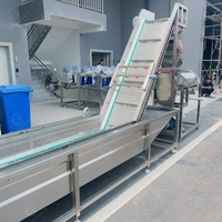 Machine à laver les fruits et légumes Dates de séchage Ligne de production par piqûres Machine à laver les bulles Prix du lave-fruits automatique