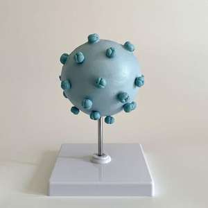 Modelo de Enseñanza Médica, Modelo de Anatomía del Virus del VIH para la Educación en Inmunología y Enfermedades Infecciosas - Product Image 3