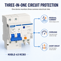Disjoncteur différentiel RCBO NXBLE-63 230V 400V Courbe B C 6kA pour Distributeurs Électriques (Vente en Gros)