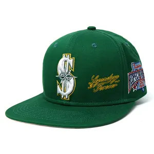 Cappello da Baseball Hip-Pop personalizzato con Logo ricamato 3D a tesa larga in poliestere