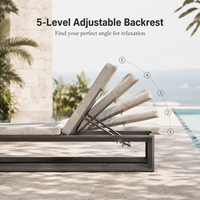 Chaise longue d'extérieur en aluminium, 5 positions réglables, pour piscine et patio, avec coussin de luxe toutes saisons – Offre Spéciale