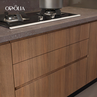 OPPOLIA Armoire de cuisine intelligente automatique de luxe personnalisée, étanche, avec évier intégré, design moderne en métal et bois MDF, ensemble d'armoires de cuisine E0