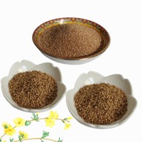 24 #   30 #   36 #   46 #   Grits abrasifs doux en coquille de noix