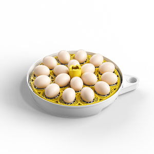 2026 कारखाने प्रत्यक्ष आपूर्ति नए डिजाइन 18 चिकन अंडे इनक्यूबेटर और 79 क्वेल अंडे इनक्यूबेटर डिजिटल तापमान नियंत्रण - Product Image 6