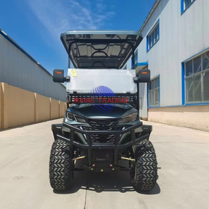 Carrito de Golf Eléctrico Shininglsv, Homologado para Carretera, de Lujo, con Batería de Litio, para Caza y Uso General - Product Image 1