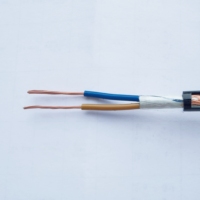 Cables con Aislamiento y Revestimiento de PVC de 2*0.75mm2~5*2.5mm2 con Conductor de Cobre Suave, Cable RVV