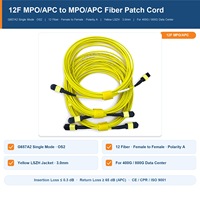 Kabel Patch Cord Fiber 12 Serat MPO APC ke MPO APC G657A2 Single Mode OS2 LSZH 3.0mm Kuning untuk Pusat Data 400G 800G