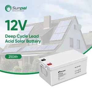 Sunpal Solar 12V 100Ah 150Ah 200Ah أمبير 250Ah أمبير من أجل تخزين النظام الشمسي