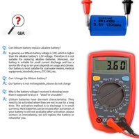 Batterie au lithium 1/2AA ER14250 3,6V 1200mAh pour PLC CNC Appareils électroménagers Jouets Électronique grand public et outils électriques Certifiée