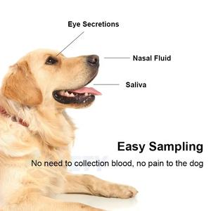 Veterinair Laboratorium Snel Rabiës Ag Snelle Testkit Fcv Gia Fpv <span class=keywords><strong>Test</strong></span> Hond Giardia Snelle <span class=keywords><strong>Test</strong></span> Fcv Voor Huisdier Kat En Hond - Product Image 3