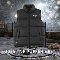 Gilet matelassé classique tendance 2025 pour l'hiver TNF – Vente flash pour hommes et femmes, style décontracté, logo personnalisé, veste sans manches de marque de créateur