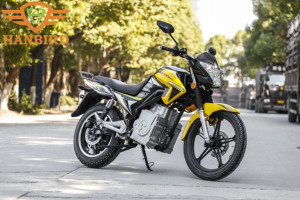 Motocicleta Retro con Batería de Litio Extraíble de 50AH para Adultos, Apta para Diferentes Terrenos, 2000w 3000w FE - Product Image 5