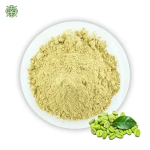 Nanqiao 저렴한 가격 녹색 커피 콩 추출물 분말 100% 천연 씨앗 추출물 체중 감소 녹색 커피 콩