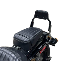 Profil bas fixe Mini Sports Sissy Bar Kit dossier passager pour Harley M8 Softail Street Bob FXBBS FXBB FLDE FLSL FXST 18-25