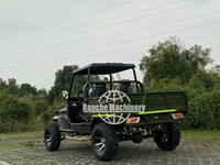 UTV électrique classique de tourisme à transmission par chaîne, batterie au plomb-acide, vitesse maximale 65 km/h, 2/4/6 places, CE