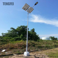 Nouveau modèle de lampadaire solaire électrique extérieur personnalisable 100W 200W