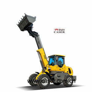 China New CASER <span class=keywords><strong>T25D</strong></span> 2,5 Tonnen Frontend Schaufel Schnee Mini Micro Teleskop ausleger Radlader zu verkaufen - Product Image 1