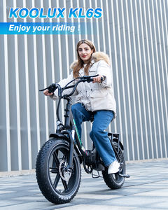 Bicicleta Eléctrica Plegable KOOLUX KL6S al por Mayor, Llantas Gruesas de 20 Pulgadas, 7 Velocidades, Aleación de Aluminio, Batería de Litio de 48V 15.6AH, 25km/h - Product Image 5