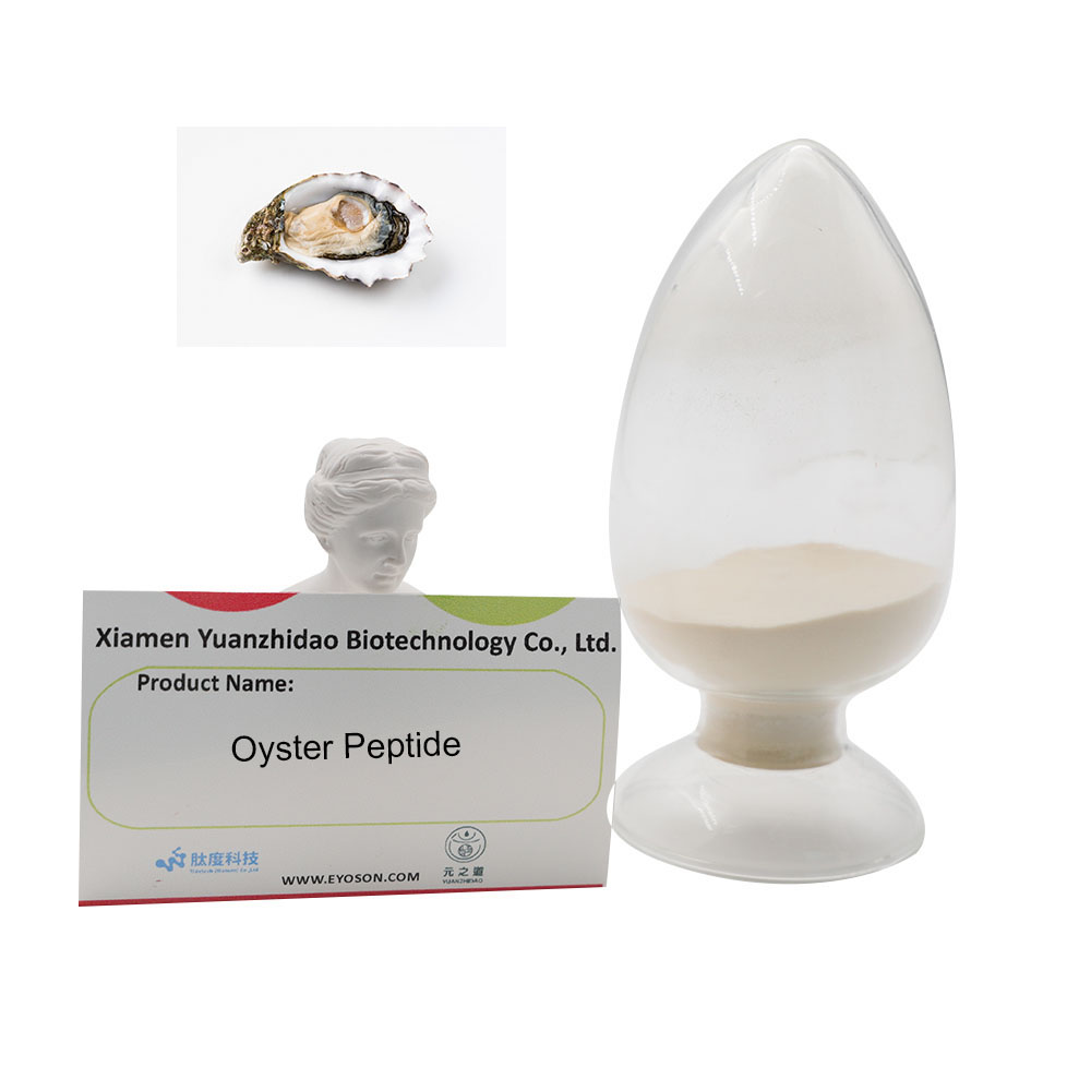 Oyster Peptide TOP Quality Lower Blood Fat Male Health Enhancement Nutrition Supplement Kidney support