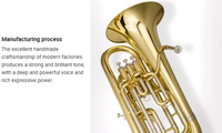 High Quality Bb Tuba for Professional Performance, Premium Brass Material, Factory Direct Supply Customizable Brass Instrument