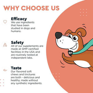 Usine de gros suppléments de soins de santé pour animaux de compagnie manteau de peau de chien mâche doux pour aider à soulager les allergies - Product Image 4