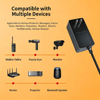 Benutzerdefiniertes Logo Schwarzer ABS-Netzadapter mit 2-Flachstift US-Stecker und integriertem DC-Kabel für Wandmontage