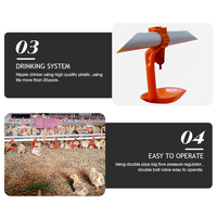 Système d'alimentation automatique pour volailles en gros, ensemble mangeoire et abreuvoir pour poulets de chair, équipement d'élevage au sol