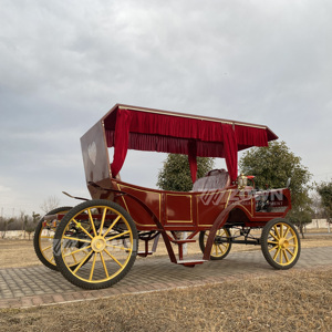Charrette de luxe ornée tirée par des chevaux, couleur personnalisable, idéale pour les cérémonies de mariage en extérieur et les projets de tourisme panoramique - Product Image 3