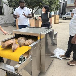 Industrial Automatic Shredded <strong>Coconut</strong> Skin Cube Cutting <strong>Machine</strong> Old <strong>Coconut</strong> Brown <strong>Shell</strong> Dicing Shredding Equipment - Product Image 2