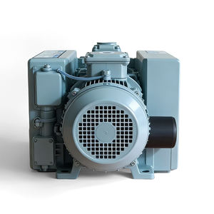 OEK QV-63 저압 단단계 로터리 베인 진공 펌프 OEM 2-3 HP 1년 보증 - Product Image 2