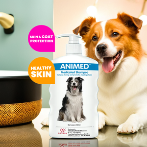 Shampooing aux herbes pour chiens de Malaisie formule naturelle anti-démangeaisons pour le nettoyage de la fourrure Distribution en gros - Product Image 1
