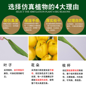 Artificial Tulip <b>Flowers</b> Silk 30cm-100cm Natural Touch Home Decor Wedding Props - Product Image 3