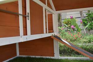 P788 Gabbia per Polli Grande in Legno Direttamente dalla Fabbrica, Pollaio Spazio Vitale Durevole, Pollaio da Esterno a Prezzo all'Ingrosso - Product Image 6