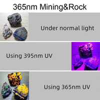 Lampe torche UV LED 365nm, mini stylo ultraviolet, lampe à lumière noire, détecteur portable, torche pour animaux de compagnie, alimentée par piles AA