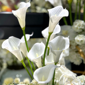 Nouvelle Arrivée Grande Pivoine Blanche Artificielle en Latex Réaliste pour Décoration Hôtelière de Noël, Pivoine au Toucher Réel - Product Image 1