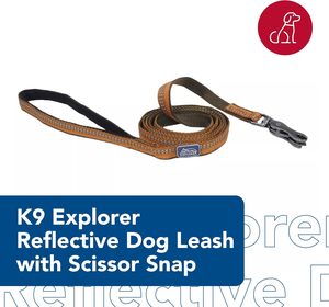 Coastal K9 Explorer perro reflectante con tijera Snap correa de nailon duradera correas y cachorros suministros para mascotas para perros-fogata - Product Image 2