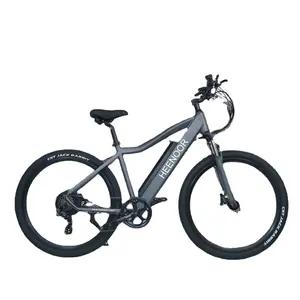 Fabrika sıcak satış elektrikli bisiklet jeneratör 250w Minimum sipariş miktarı