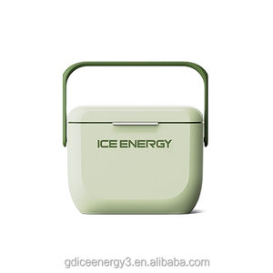 ICE TRIP modèle privé 6L Mini boisson 48 heures garder froid glacière Portable PP EPS boîte isolée pour le camping - Product Image 2