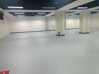 Revêtement de sol en vinyle PVC pour salle de danse, rouleau adhésif résistant, uni, ignifuge, écologique, antidérapant pour salles de danse et de sport