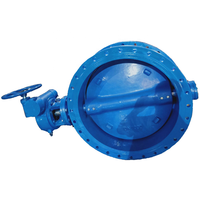 Flange Type butterfly Valve with Gearbox and Handwheel DN700 Ductile Iron Body Face to Face EN558 S13 S14 PN10/16/25 Supplier