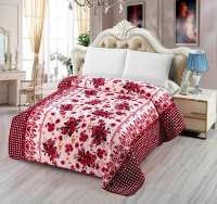 Couverture Raschel double couche économique, épaisse pour l'hiver, en flanelle corail, drap de lit en peluche douillette et chaude pour étudiants