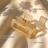 Pince à cheveux carrée en plastique translucide de 5 cm, style chic pour le travail, pour coiffure mi-attachée, profil bas, confortable, emballage carton
