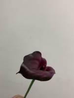 Fleurs artificielles de calla, fleurs en latex de couleur bordeaux au toucher réel pour la décoration de la maison, bouquet de mariage, centre de table