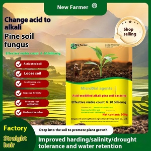 Phân bón hữu cơ cho acid-kiềm điều chỉnh đất nới lỏng vi khuẩn kích hoạt cho tăng trưởng rễ tăng sản xuất và thu nhập - Product Image 2