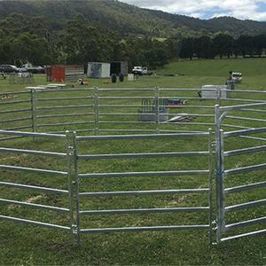 Pannello per bestiame recinto per cavalli, - Product Image 3