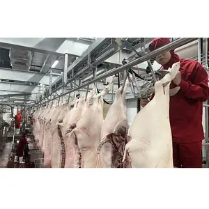 Équipement d'abattage de truie de prix usine pour l'usine de transformation de viande de porc