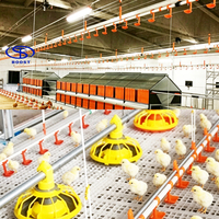Équipement d'élevage avicole complet automatique, système d'alimentation et d'abreuvement pour projet d'élevage commercial de poulets de chair et de poules pondeuses