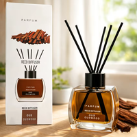 Diffuseurs à bâtonnets de luxe pour la maison, marque privée, 120 ml, écologiques, sans alcool, longue durée, en bouteille de verre